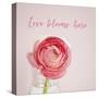 Love Blooms Here-Susannah Tucker-Stretched Canvas