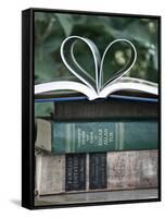 Love Books I-Katie Guinn-Framed Stretched Canvas