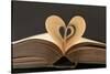 Love Books Love Reading Good Read-Yon Marsh-Stretched Canvas