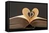 Love Books Love Reading Good Read-Yon Marsh-Framed Stretched Canvas