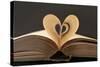Love Books Love Reading Good Read-Yon Marsh-Stretched Canvas