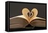 Love Books Love Reading Good Read-Yon Marsh-Framed Stretched Canvas