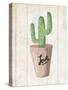 Love Cactus 1-Kimberly Allen-Stretched Canvas