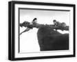 Black Frame