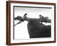 Brown Frame