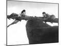 Wood Mount