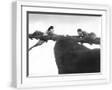 White Frame