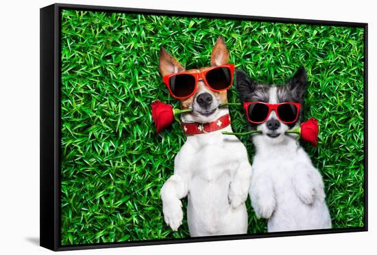Love Couple of Dogs-Javier Brosch-Framed Stretched Canvas