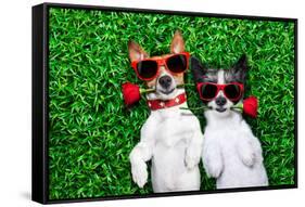 Love Couple of Dogs-Javier Brosch-Framed Stretched Canvas