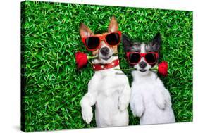 Love Couple of Dogs-Javier Brosch-Stretched Canvas