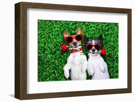 Love Couple of Dogs-Javier Brosch-Framed Photographic Print