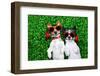 Love Couple of Dogs-Javier Brosch-Framed Photographic Print