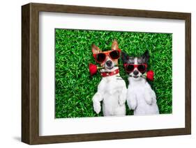 Love Couple of Dogs-Javier Brosch-Framed Photographic Print