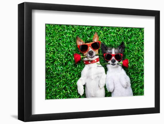 Love Couple of Dogs-Javier Brosch-Framed Photographic Print