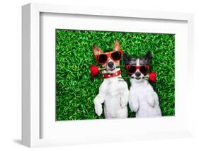 Love Couple of Dogs-Javier Brosch-Framed Photographic Print