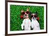 Love Couple of Dogs-Javier Brosch-Framed Photographic Print