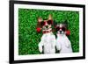 Love Couple of Dogs-Javier Brosch-Framed Photographic Print