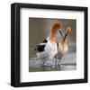 Love Crossing ...-null-Framed Art Print