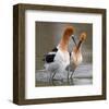 Love Crossing ...-null-Framed Art Print