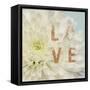 Love Flower-Julie Greenwood-Framed Stretched Canvas