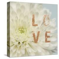 Love Flower-Julie Greenwood-Stretched Canvas