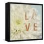 Love Flower-Julie Greenwood-Framed Stretched Canvas
