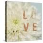 Love Flower-Julie Greenwood-Stretched Canvas