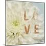 Love Flower-Julie Greenwood-Mounted Art Print