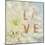 Love Flower-Julie Greenwood-Mounted Art Print