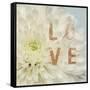 Love Flower-Julie Greenwood-Framed Stretched Canvas