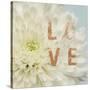 Love Flower-Julie Greenwood-Stretched Canvas