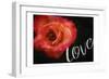 Love Flower-Milli Villa-Framed Art Print