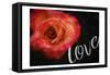 Love Flower-Milli Villa-Framed Stretched Canvas