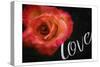 Love Flower-Milli Villa-Stretched Canvas