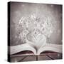 Love for Book-alphaspirit-Stretched Canvas