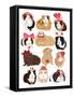 Love Guinea Pigs-Hanna Melin-Framed Stretched Canvas