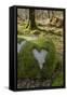 Love Heart Shape in Moss on Granite Bolder, United Kingdom, Europe-Gary Cook-Framed Stretched Canvas