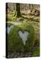 Love Heart Shape in Moss on Granite Bolder, United Kingdom, Europe-Gary Cook-Stretched Canvas