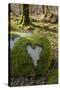 Love Heart Shape in Moss on Granite Bolder, United Kingdom, Europe-Gary Cook-Stretched Canvas