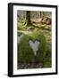 Love Heart Shape in Moss on Granite Bolder, United Kingdom, Europe-Gary Cook-Framed Photographic Print