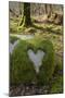 Love Heart Shape in Moss on Granite Bolder, United Kingdom, Europe-Gary Cook-Mounted Photographic Print