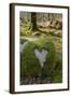 Love Heart Shape in Moss on Granite Bolder, United Kingdom, Europe-Gary Cook-Framed Photographic Print