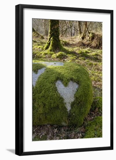 Love Heart Shape in Moss on Granite Bolder, United Kingdom, Europe-Gary Cook-Framed Photographic Print