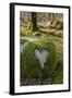 Love Heart Shape in Moss on Granite Bolder, United Kingdom, Europe-Gary Cook-Framed Photographic Print