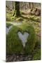 Love Heart Shape in Moss on Granite Bolder, United Kingdom, Europe-Gary Cook-Mounted Photographic Print