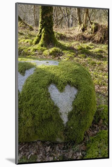 Love Heart Shape in Moss on Granite Bolder, United Kingdom, Europe-Gary Cook-Mounted Photographic Print