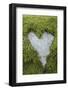 Love Heart Shape in Moss on Granite Bolder-Gary Cook-Framed Photographic Print