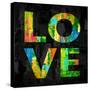 Love I-Jamie MacDowell-Stretched Canvas