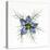 Love in a mist, pressed flower on light panel-Adrian Davies-Stretched Canvas