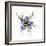 Love in a mist, pressed flower on light panel-Adrian Davies-Framed Photographic Print